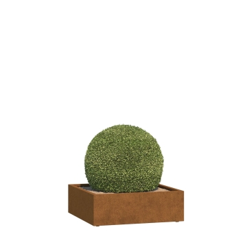 Plantepotte Aosta Mini