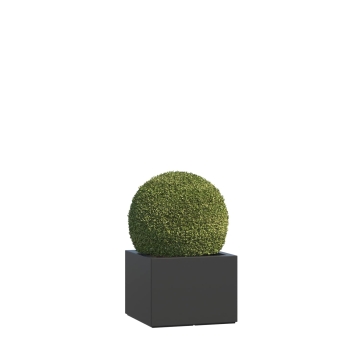 Plantekasse glasfiber Ferrara Medium