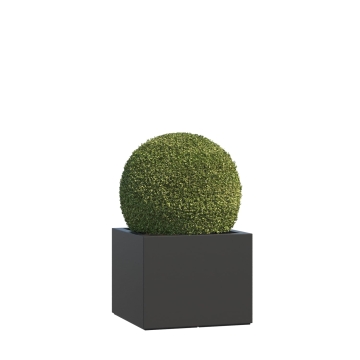 Plantekasse glasfiber Volterra Maxi