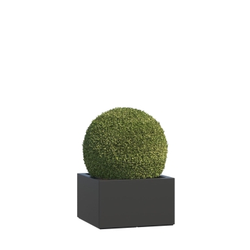 Plantekasse glasfiber Volterra Medium