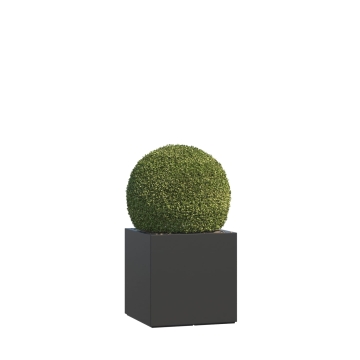 Plantekasse glasfiber Ferrara Maxi