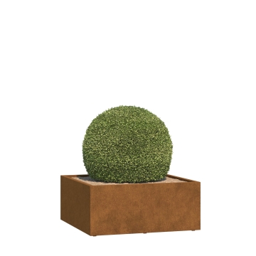 Plantepotte Verona Medium