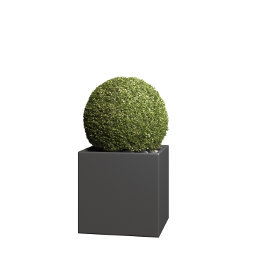 Plantekasse Kubus Medium antracit