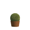 Vigo Mini