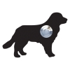Ringetryk Hund ''Balu'' sort