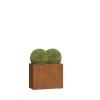 Plantepotte Modena Mini