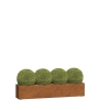 Sanremo Stor plantepotte