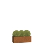 Sanremo Medium plantepotte